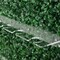 3 Green Boxwood Champagne Display Stand Party Events Decorations